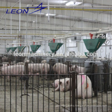 Leon seriesautomatic piggy feeding equipment for pig farm